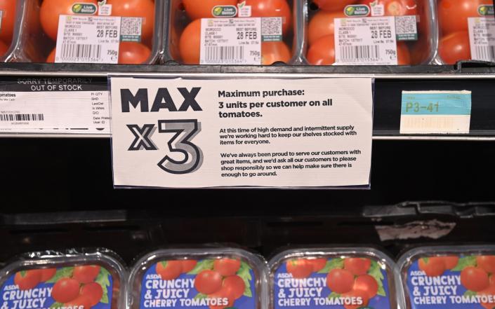 UK supermarkets have introduced limits on fruit and veg amid a supply shortage - NEIL HALL/EPA-EFE/Shutterstock