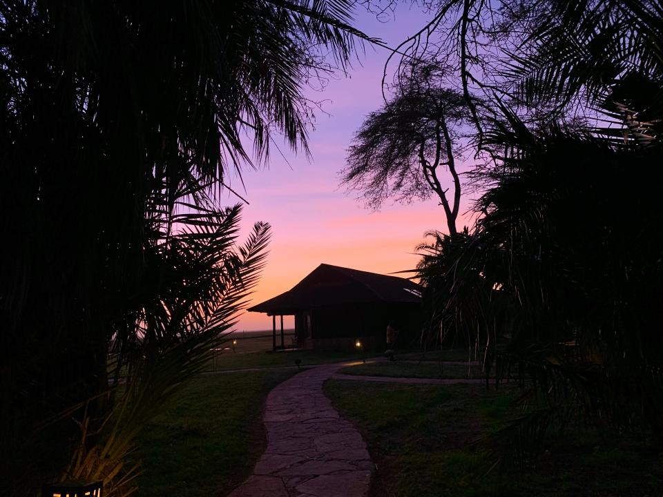 The shadow of a building and trees at sunset with a purple-and-orange sky.