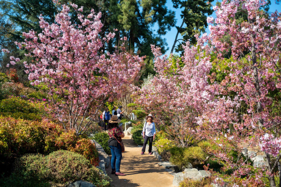 people in a botanical garden