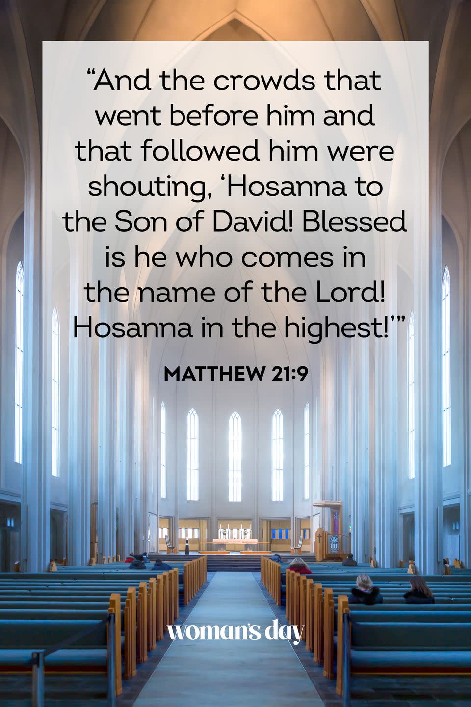 <p>"And the crowds that went before him and that followed him were shouting, 'Hosanna to the Song of David! Blessed is he who comes in the name of the Lord! Hosanna in the highest!'"</p>