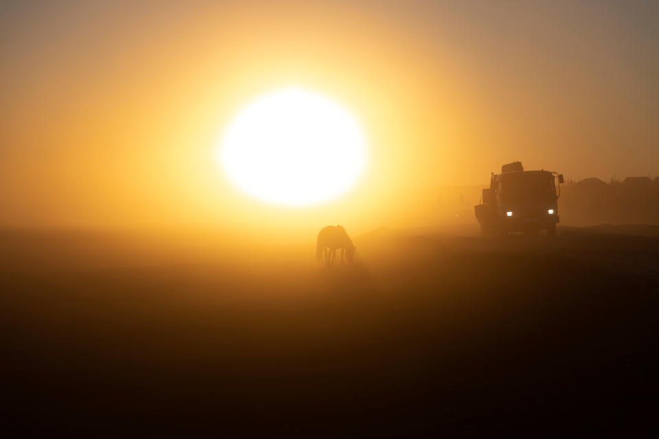 <p>Trasladar a los animales no es una tarea sencilla. Los bisontes llegaron desde Dinamarca por la ruta del Mar del Norte y otros fueron transportados en barcos atravesando tormentas hasta la desembocadura del río Kolimá, en el extremo noreste de Siberia. (Foto: Maxim Shemetov / Reuters).</p> 