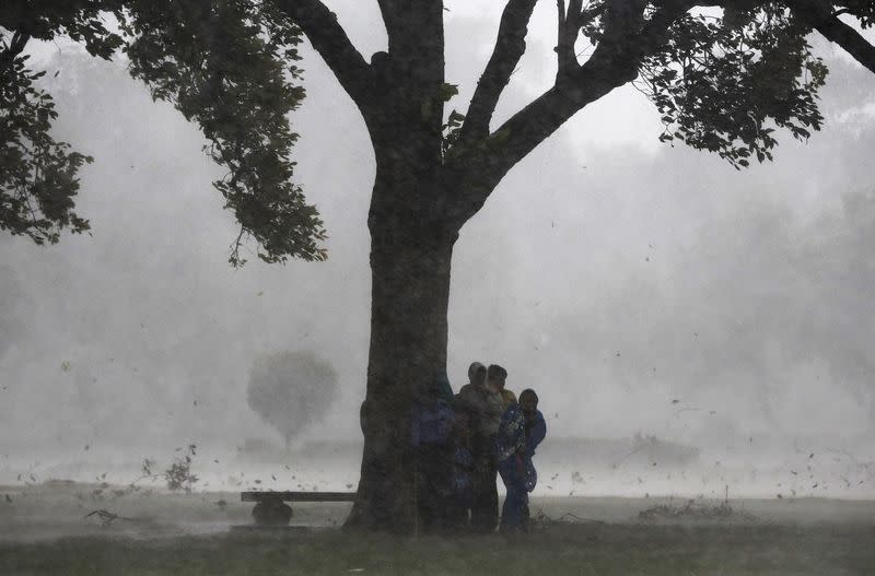 People take shelter under a tree during a heavy monsoon shower in New Delhi August 28, 2014. REUTERS/Adnan Abidi