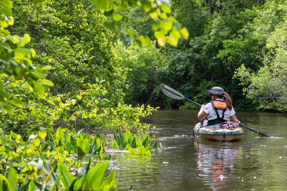 Mississippi's creeks and rivers offer opportunities to canoe, kayak, camp and get away from it all.