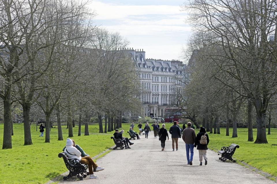 Amazonica and her dog, Sidney Vicious, are regulars in Hyde Park (Daniel Lynch)