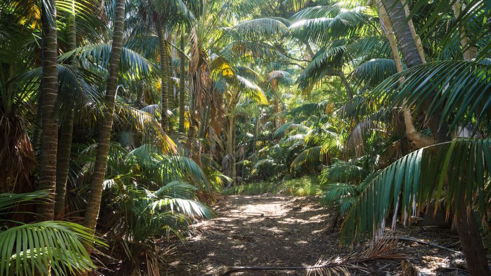 The island is only seven miles long and is packed with plants and animals found nowhere else. - Matteo Colombo/Digital Vision/Getty Images