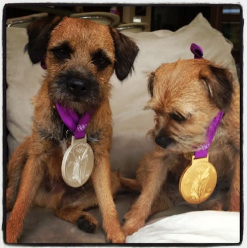 Scottish tennis player Andy Murray tweeted this <a href="http://sports.yahoo.com/blogs/olympics-fourth-place-medal/andy-murray-dogs-wear-olympic-medals-photo-182831062--oly.html" data-ylk="slk:adorable picture;elm:context_link;itc:0;sec:content-canvas;outcm:mb_qualified_link;_E:mb_qualified_link;ct:story;" class="link  yahoo-link"> adorable picture</a> of his puppies wearing his gold and silver medals.