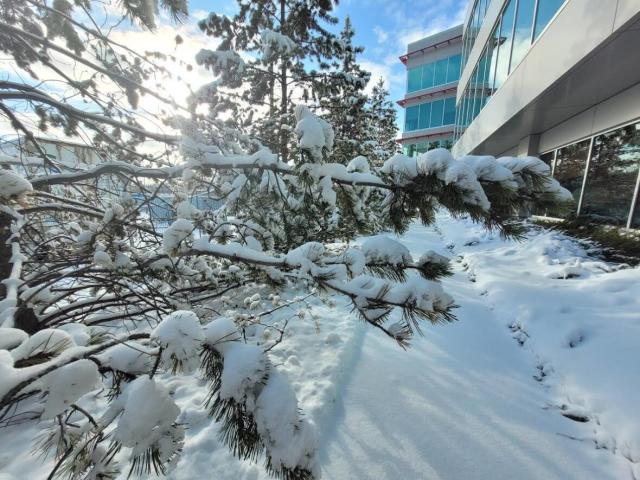 Winter Weather Leads To Hundreds Of Collisions In Calgary 