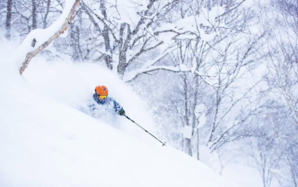 Japan, skiing, fabrice croise, scents of wood