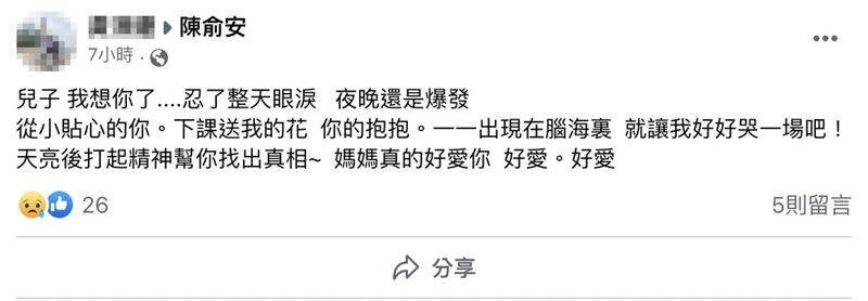 陳俞安的母親在臉書上留言，要替兒子討公道。（圖／翻攝畫面）