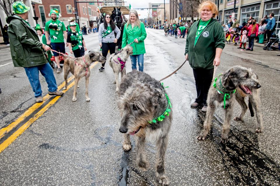 Tim Church, 62, Sid Vasey, 52, and Julie Schaeffer, 54, march with their Irish Wolfhounds, Nya, left, 2, Kya, 1, Bragi, 3, and Eire, 8 months, on March 19, 2022, at the first St. Patrick’s Day parade since the COVID pandemic began in March 2020. Saturday’s parade took place, despite scattered showers, along State Street in Erie. Originally scheduled for March 12, the parade was postponed due to winter weather. Several hundred people were in attendance as the parade marched north on State Street from 11th Street.