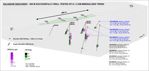 Figure 1: 3D view of the Salvador Target, highlighting diamond drill hole locations and 2PGE+Au assay results. Salvador remains open along strike and at depth.