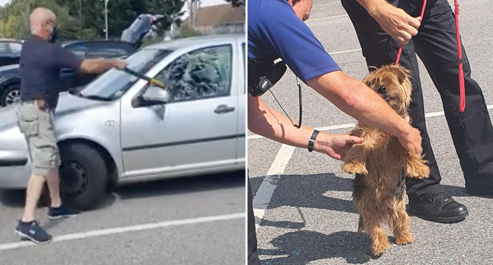 A man shatters a car window with an axe to free a terrier.  The terrier is also pictured with police.