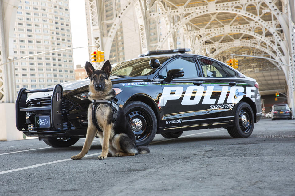 Ford hybrid police car with K-9