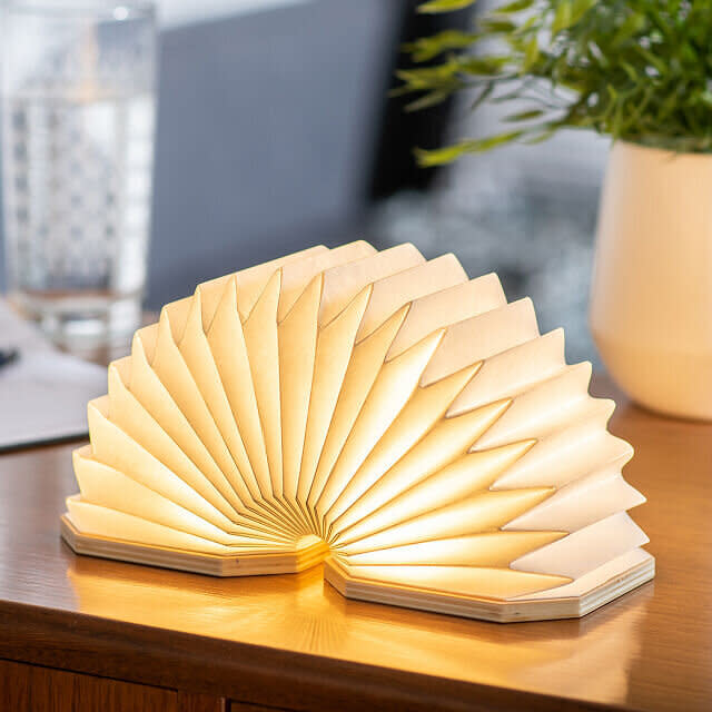 If you're a creative who craves a lamp that isn't like the others, you could get this sculptural one that's shaped like an accordion. It can be compressed down when you're not using it and pressed up when you need it. This lamp uses a micro usb charging cable, which is included. <a href="https://fave.co/35Rpsl5" target="_blank" rel="noopener noreferrer">Find it for $69 at Uncommon Goods</a>.