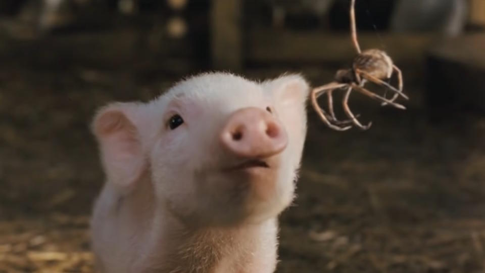 15. Charlotte’s Web (2006)