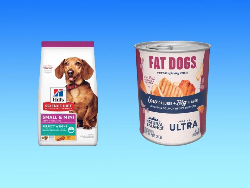 A bag of Hill's Science Diet Perfect Weight food and a can of Natural Balance Fat Dogs food are on a blue background.