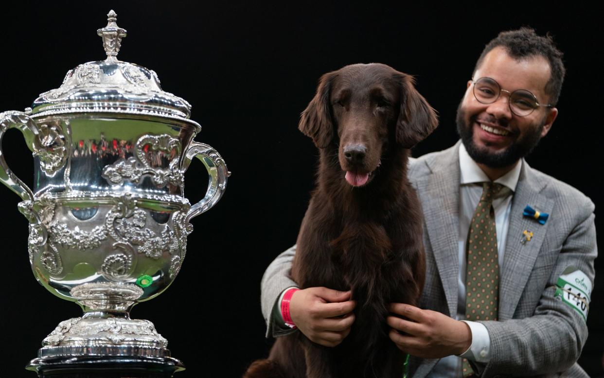 Baxer, the flat-coated retriever, with handler Patrick Oware after winning Best in Show - Joe Giddens/PA Wire