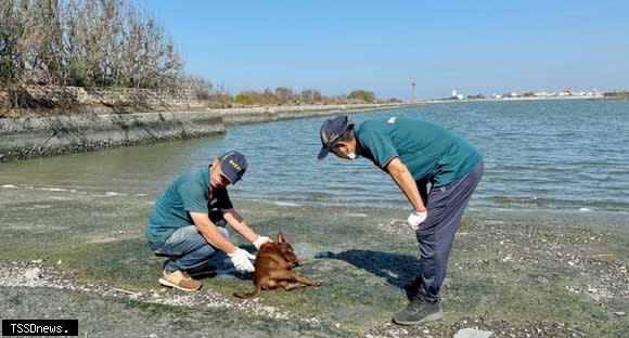 南市動物救援全年無休，廿四小時專線不漏接，因應地形執行動物救援工作。（記者李嘉祥攝）