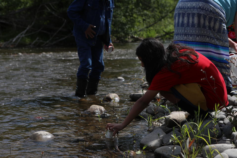 A student from Okanagan Indian Band’s Cultural Immersion School releases their salmon fry into the Salmon River in syilx Okanagan territory during a ceremonial release hosted by the Okanagan Nation Alliance on June 19, 2024. Photo by Aaron Hemens