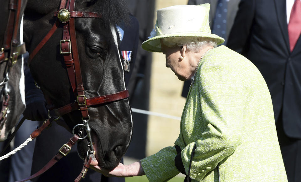 Además de a los corgis, Isabel II adoraba a sus caballos, cuyo cuidado ha pasado ahora a su hijo y actual monarca, Carlos III. (Foto: Bruton, Somerset, England, UK)