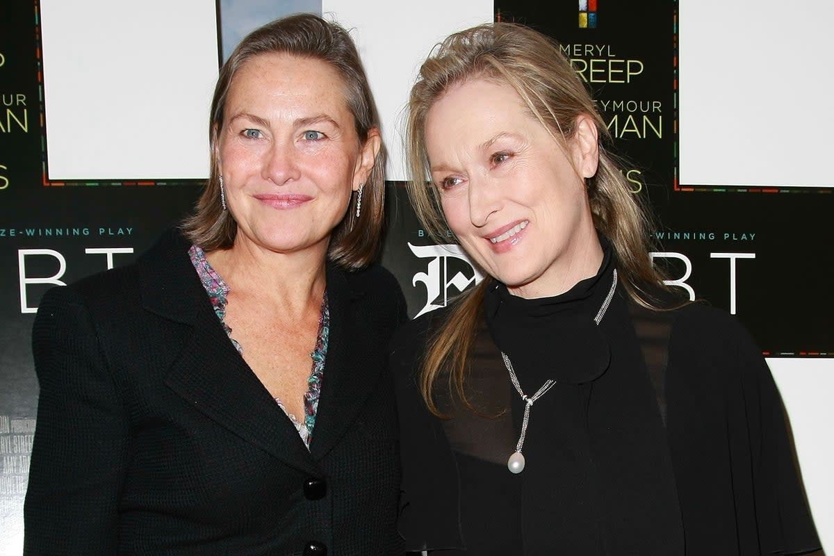 Jones and Meryl Streep attend the premiere of ‘Doubt’ at the Paris Theater in 2008 in New York City (Getty)