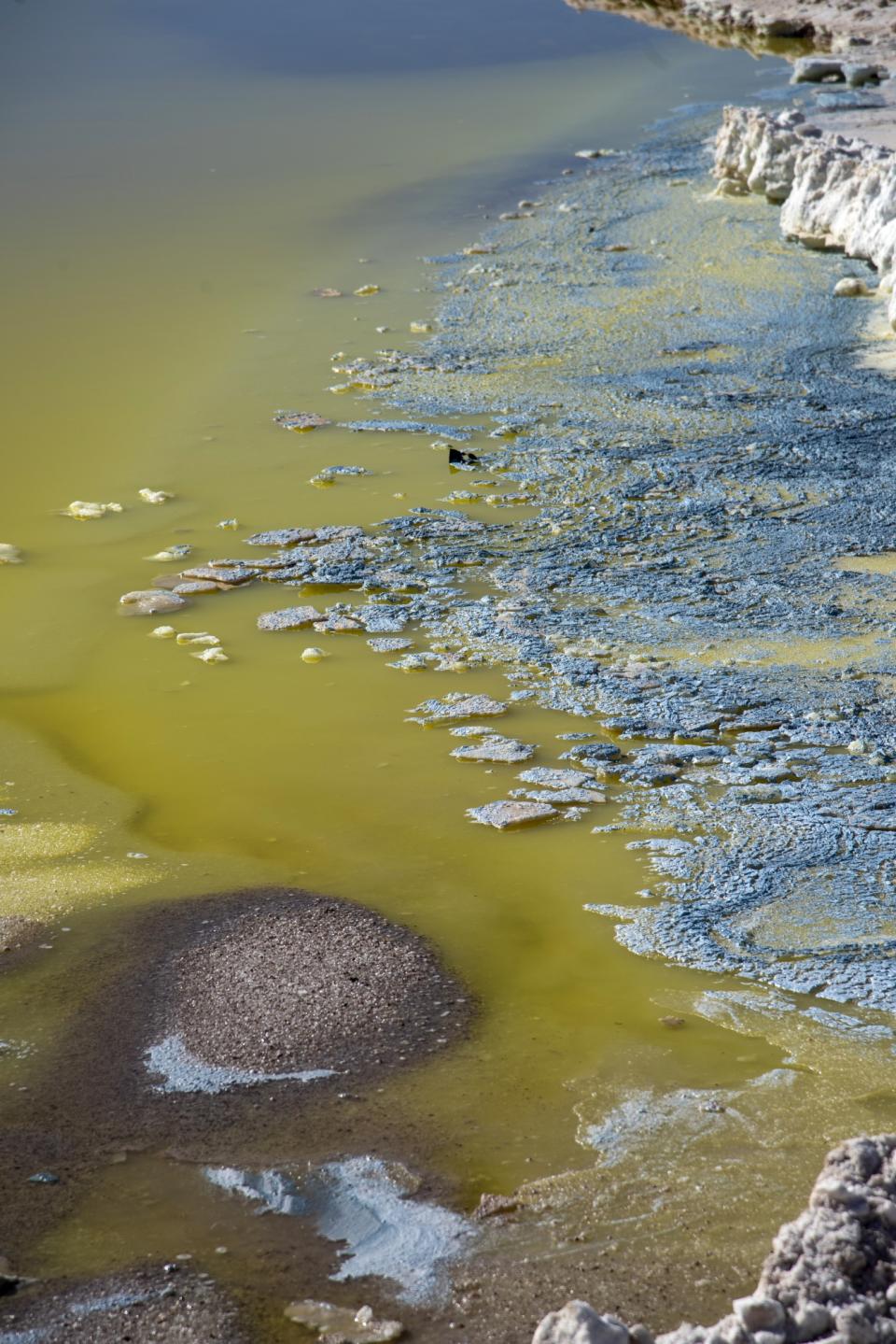 Saving the Planet With Electric Cars Means Strangling This Desert