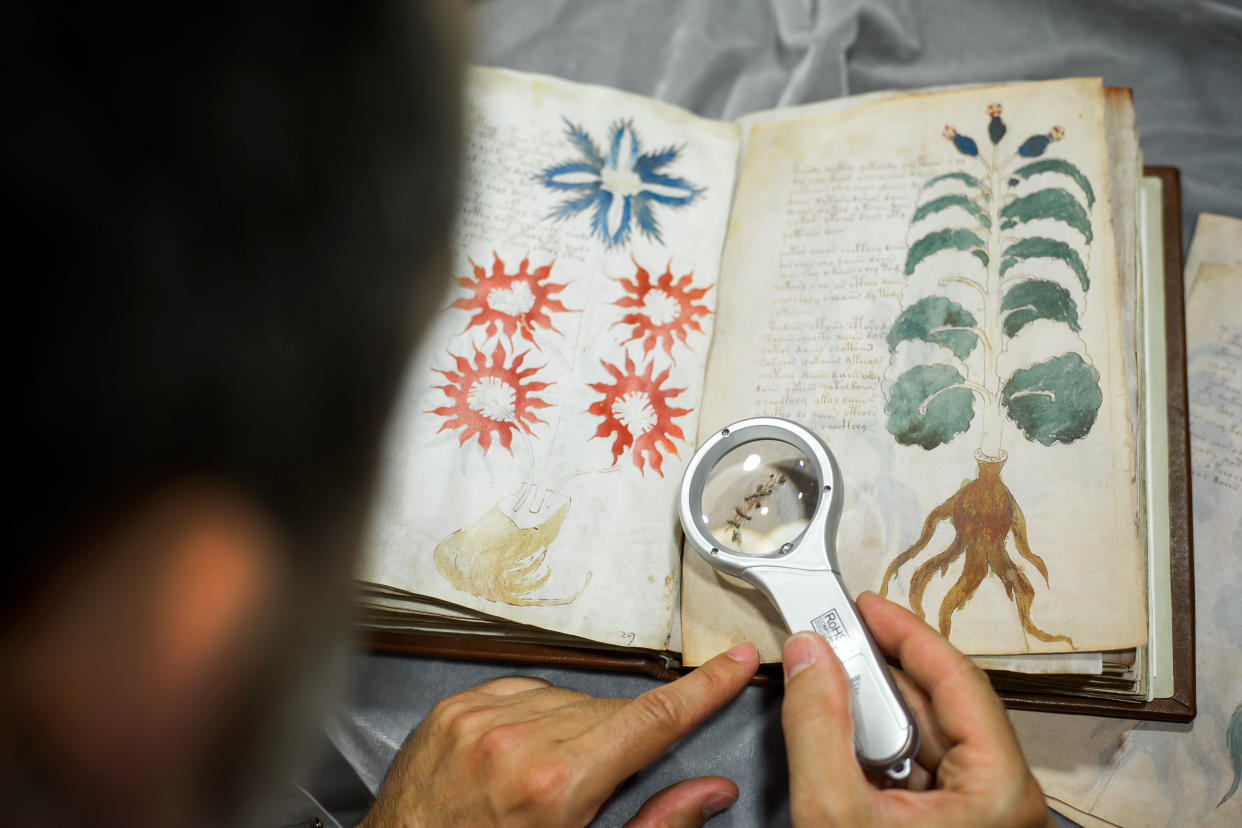 Has the Voynich finally been cracked?