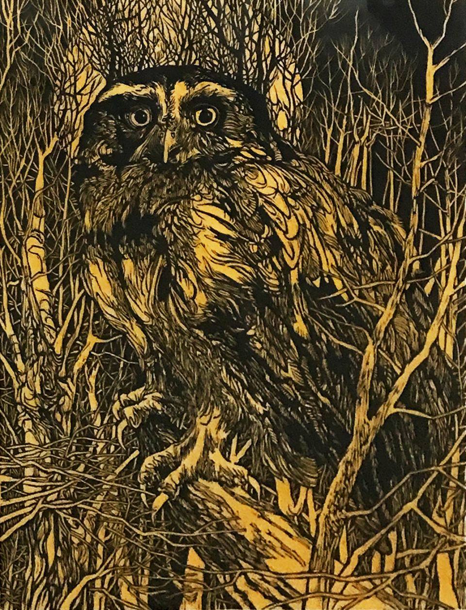 An owl woodcut by Jack Coughlin is part of a retrospective exhibit of his work at the Cape Cod Museum of Art in Dennis.