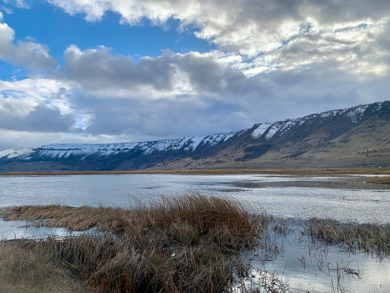 Views of Summer Lake Wildlife Area in southcentral Oregon.