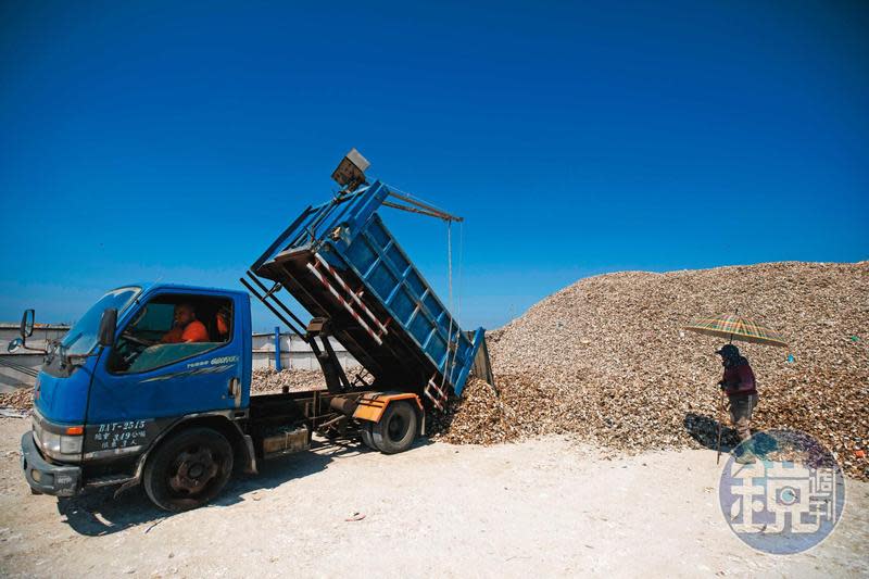 嘉義縣設置全國首座合法蚵殼暫置場，讓蚵殼有機會從「廢棄物」變成「資源物」。