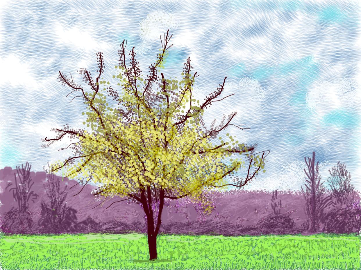 Cuadro en iPad No. 88, 3 de marzo 2020 © David Hockney