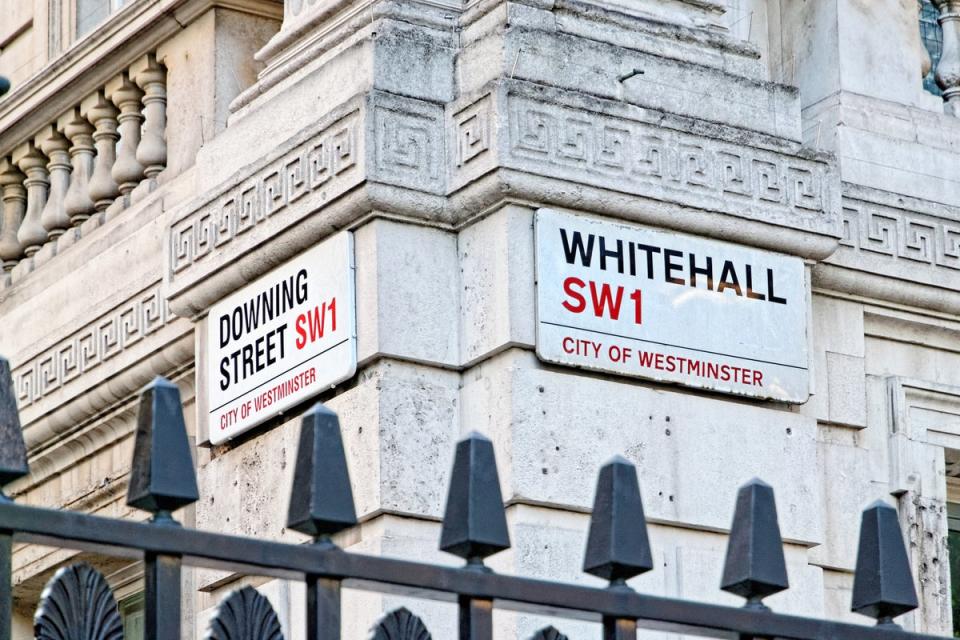 Rowaa Ahmar, a former senior civil servant, has withdrawn a discrimination case against the Cabinet Office (Getty)