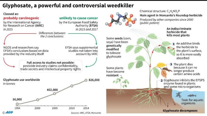 Factfile on the controversial herbicide glyphosate (AFP Photo/Alain BOMMENEL, Laurence SAUBADU, Kun TIAN)