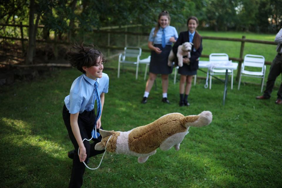 Corey jokes around while Megan and Abbie Swann watch as the students practise their head-collaring technique on toy dogs on the farm at Woodchurch High School (Reuters)