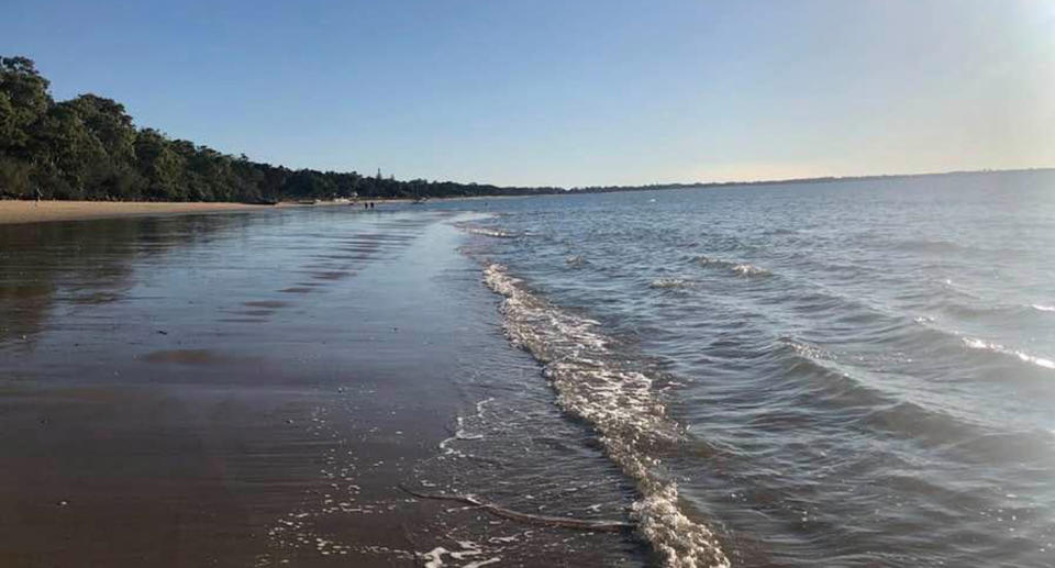 The sea snake was spotted on Torquay Beach, Hervey Bay (pictured) on Tuesday. Source: Facebook