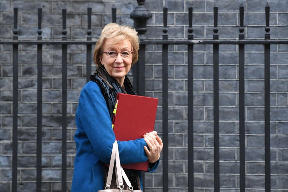 Conservative minister Dame Andrea Leadsom said trade friction with the EU was the ‘price’ the UK was paying for being ‘sovereign again’ (Stefan Rousseau/PA) (PA Archive)