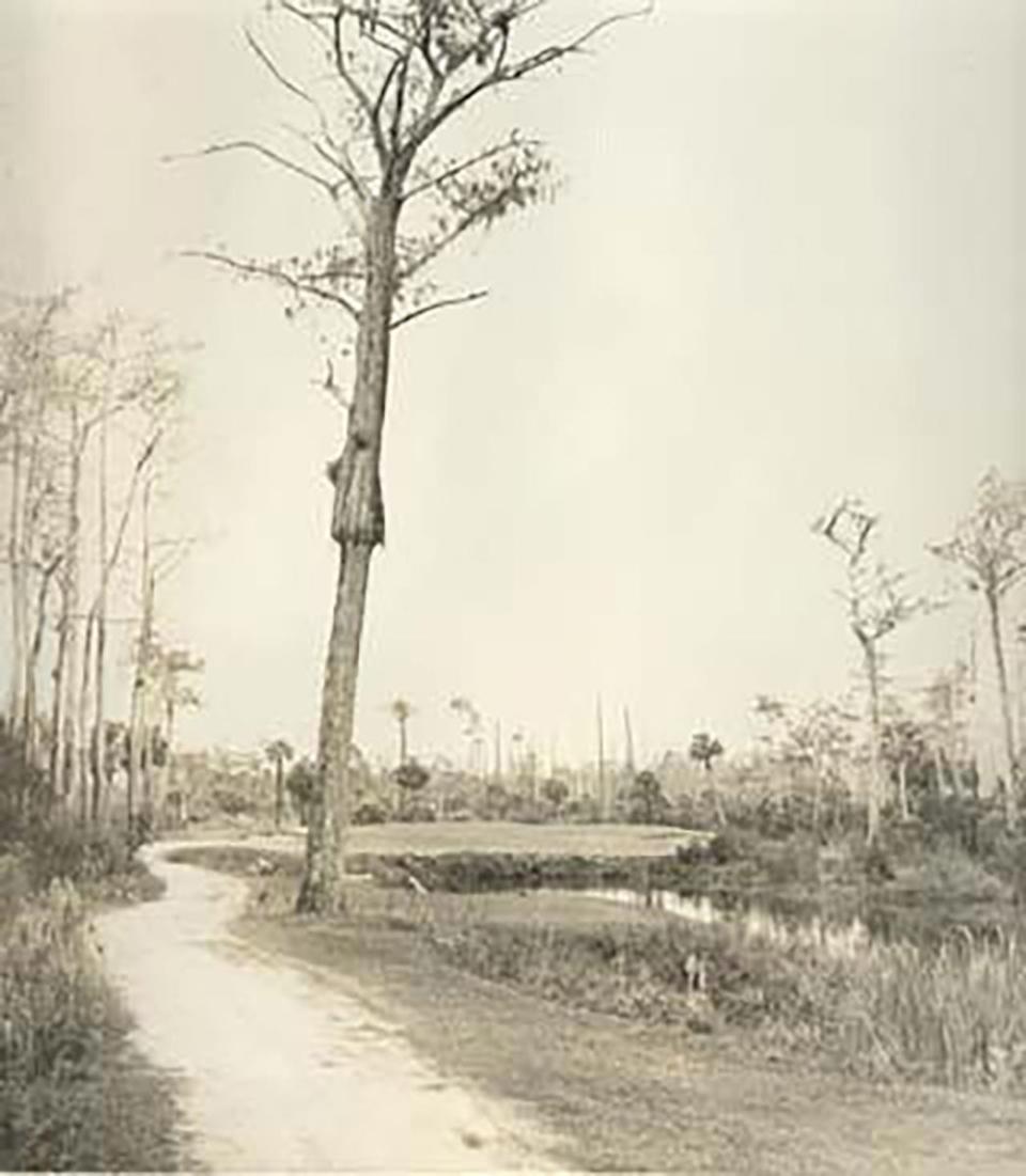 A undated view of the 15th hole at Country Club of Naples.