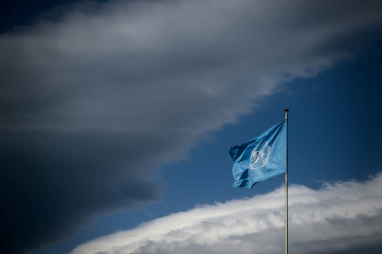 La bandera de la ONU ondea en el Palacio de las Naciones, en Ginebra, el 7 de junio de 2019 (Fabrice Coffrini)