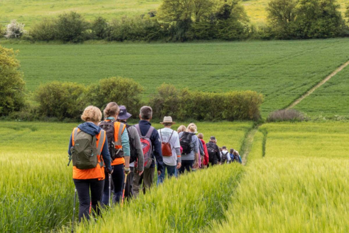 A Suffolk festival was named among the best in its category by National Geographic <i>(Image: Suffolk Walking Festival)</i>