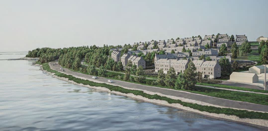A drawing of one development option for Lunenburg's Back Harbour that would build 368 housing units. (MacKay-Lyons Sweetapple Architects - image credit)