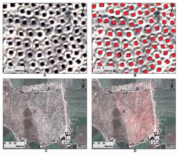 Polygons were drawn over each pit to measure the extent of looting.