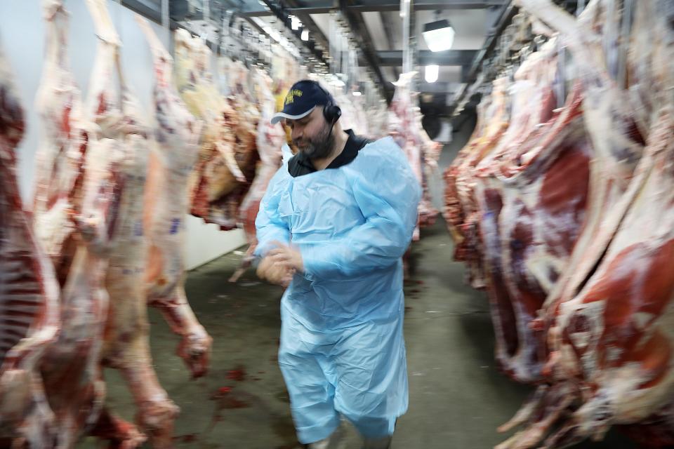 Ediby Kucukkarca, CEO of the ENA Meatpacking facility in Paterson, NJ, walks through a refrigerated room with goats and cows ready to be shipped to area stores and restaurants. ENA is one of the largest halal slaughterhouses in the United States. Early July is a hectic time for the family-owned business, as it prepares for Eid al-Adha, the Feast of the Sacrifice, one the major Muslim holidays.