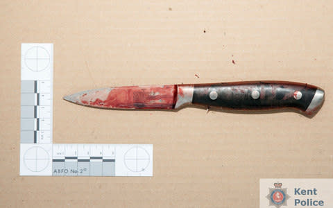 The knife used to murder Molly McLaren - Credit: PA