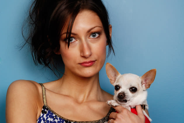 Chihuahua gleich leichte Beute? Was Ihr Hund über Sie verrät (Bild: thinkstock)