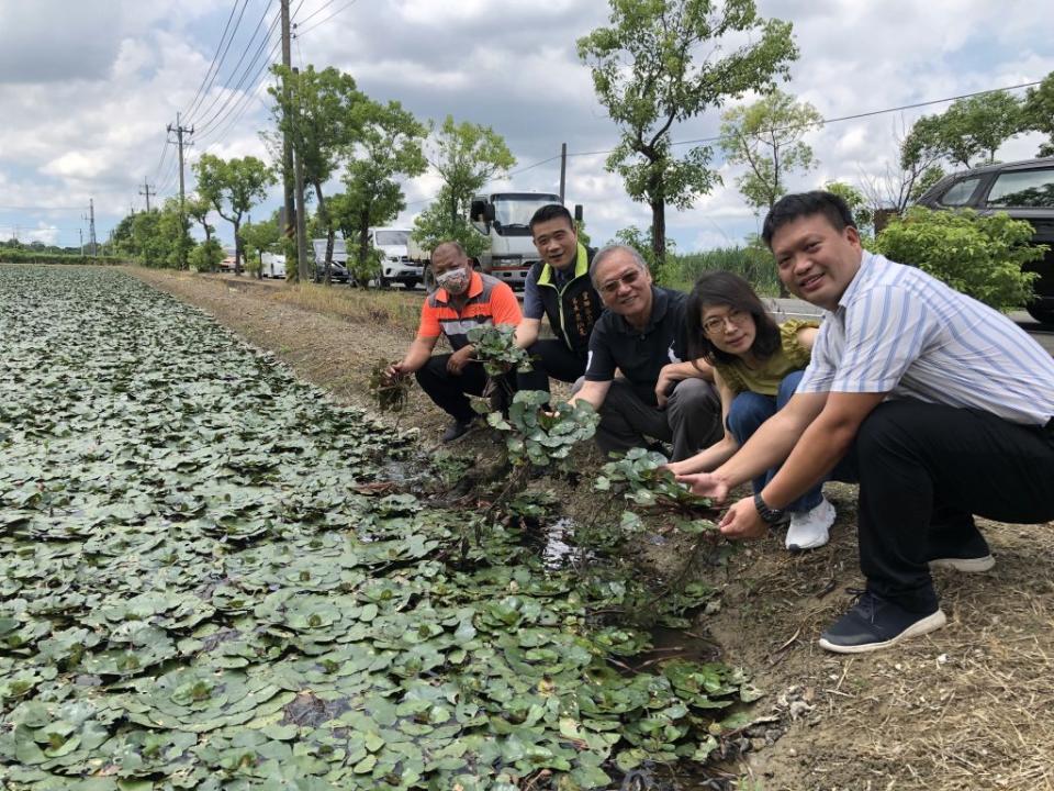 受邀分享植物碳匯的成大教授蘇彥勳(右一)、台大副教授王淑美(右二)、南市新農業生技生產合作社顏振標博士(右三)、官田區長黃炳元(右四)等人，認為菱角深具潛力。(記者盧萍珊攝)