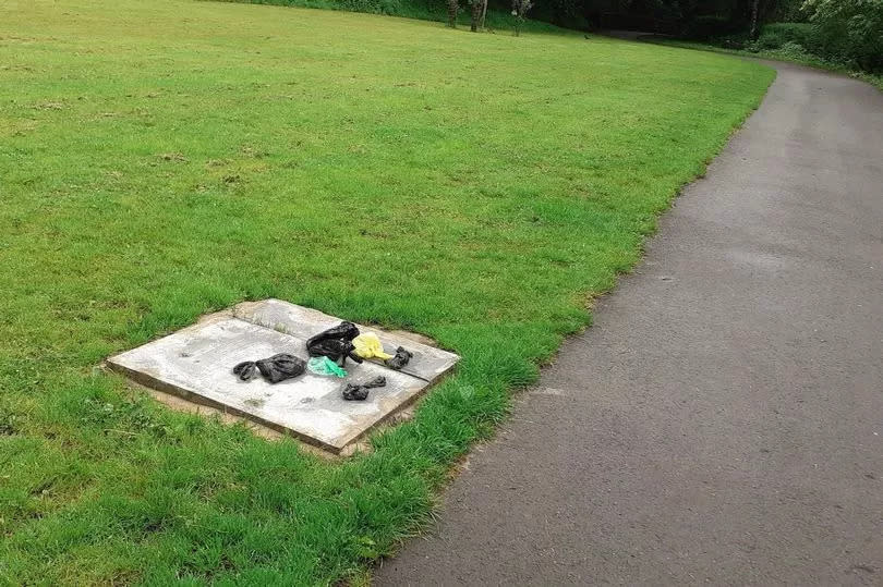 Dog poo bags left where the 'disappearing bins' once were.