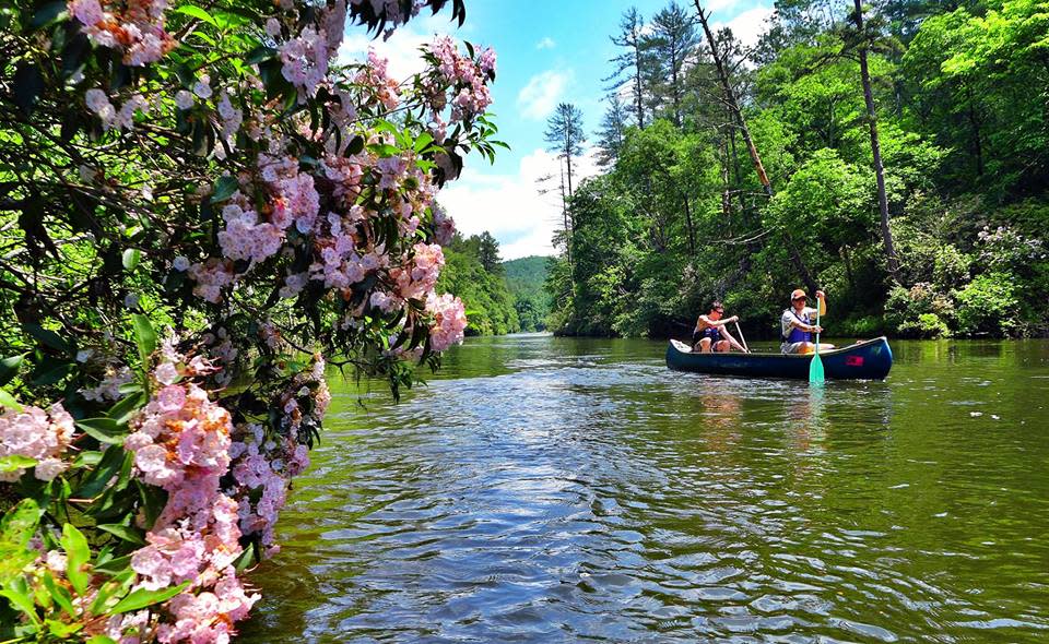 Two people on a spring canoe trip make their way down the French Broad River.