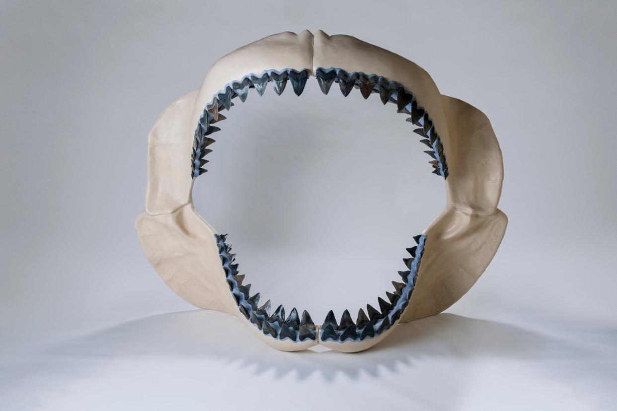 megalodon