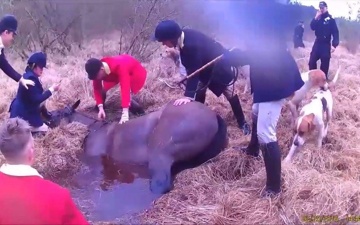 Traditional enemies came together when a group of hunt saboteurs came to the aid of huntsman whose horse got tapped in a bog at the weekend