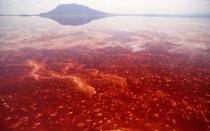 <p>This “salt and soda” lake in northern Tanzania can actually be deadly to some animals. According to <a rel="nofollow noopener" href="http://www.livescience.com/40135-photographer-rick-brandt-lake-natron.html" target="_blank" data-ylk="slk:Live Science;elm:context_link;itc:0;sec:content-canvas" class="link ">Live Science</a>, the pH balance of the alkaline water is enough to burn anything that attempts to swim in it. Coincidently enough, it’s the same toxicity level that gives it a red, cracked appearance.</p>